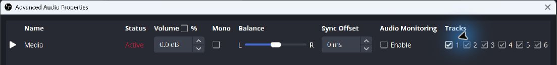 Advanced Audio Properties with Track 1 checked for Media and Tracks 2 through 6 still checked.
