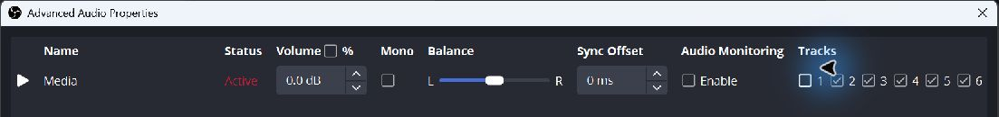 Advanced Audio Properties with Track 1 unchecked for Media and Tracks 2 through 6 checked.